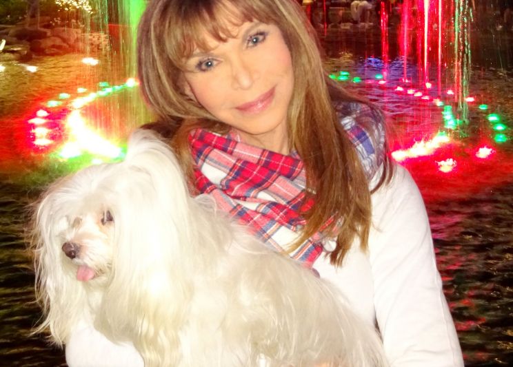 Ann Turkel