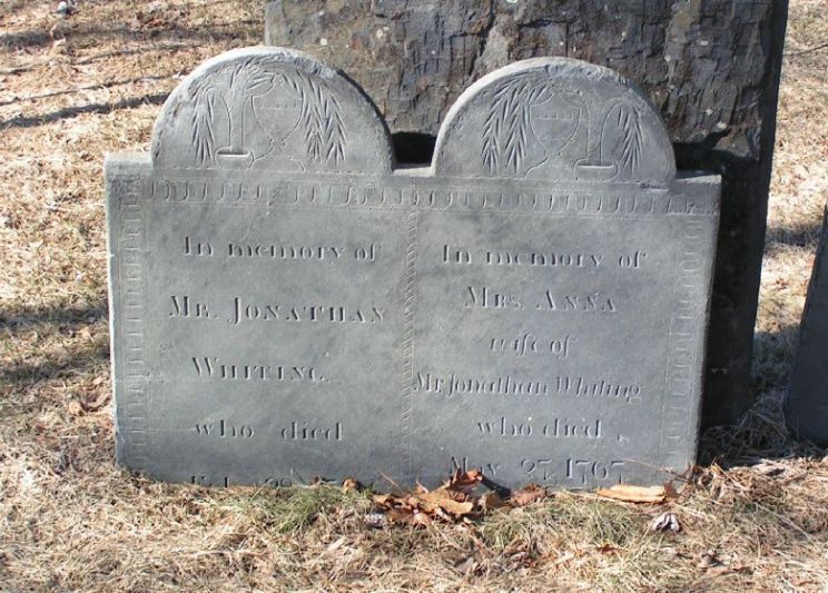 Anna Bullard