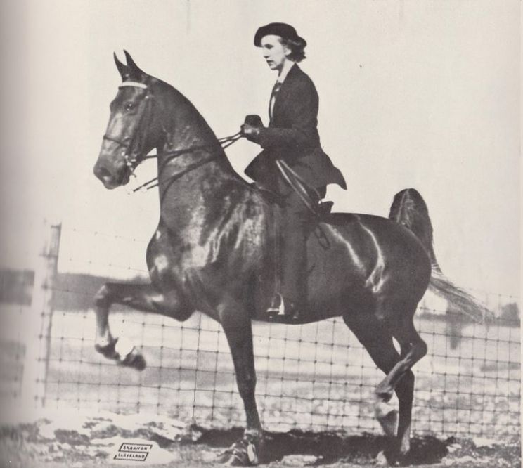 Anna Dodge