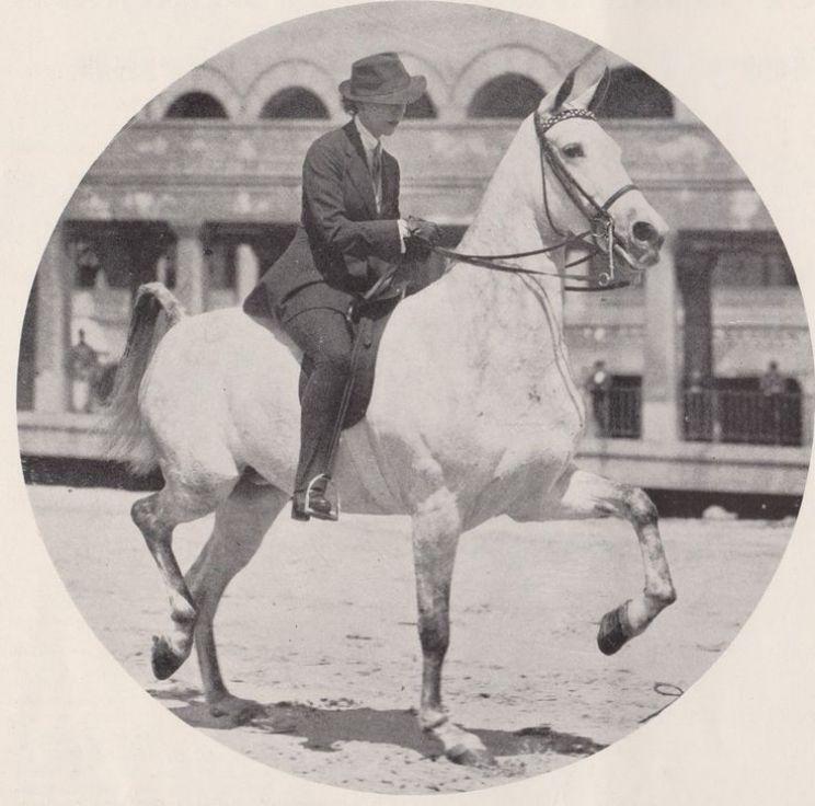 Anna Dodge