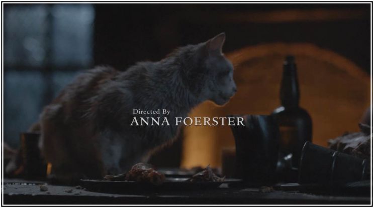 Anna Foerster