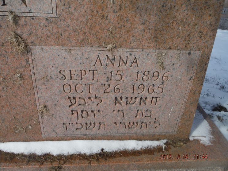 Anna Friedman