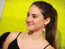 Anna Silk #233520 picture (Landscape Medium)