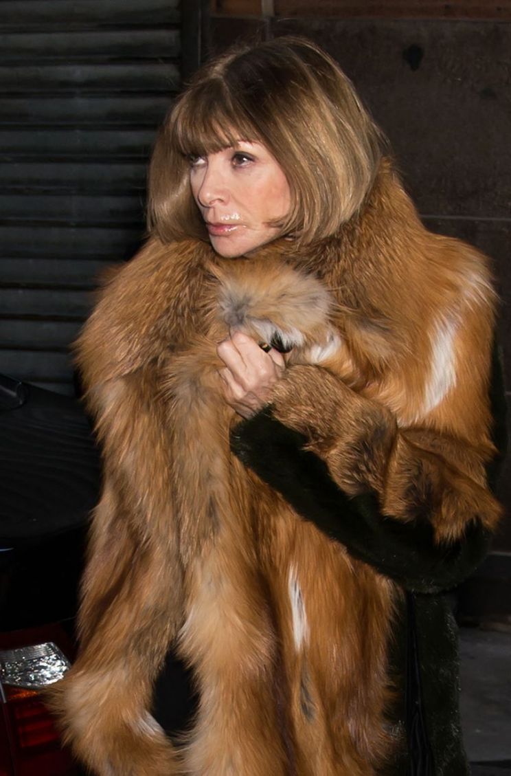 Anna Wintour