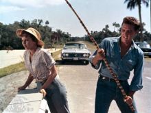 Anne Helm photo