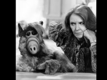 Anne Meara