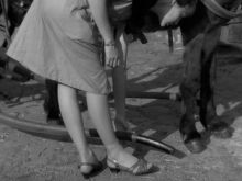 Anne Wiazemsky photo
