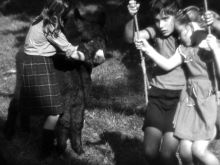 Anne Wiazemsky