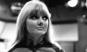 Anneke Wills