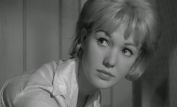 Annette Andre