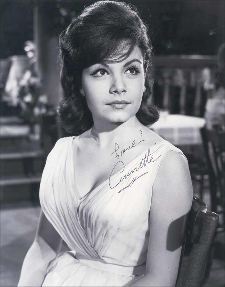 Annette Funicello, Wall Of Celebrities,Celebrities,download celebrities&apo...