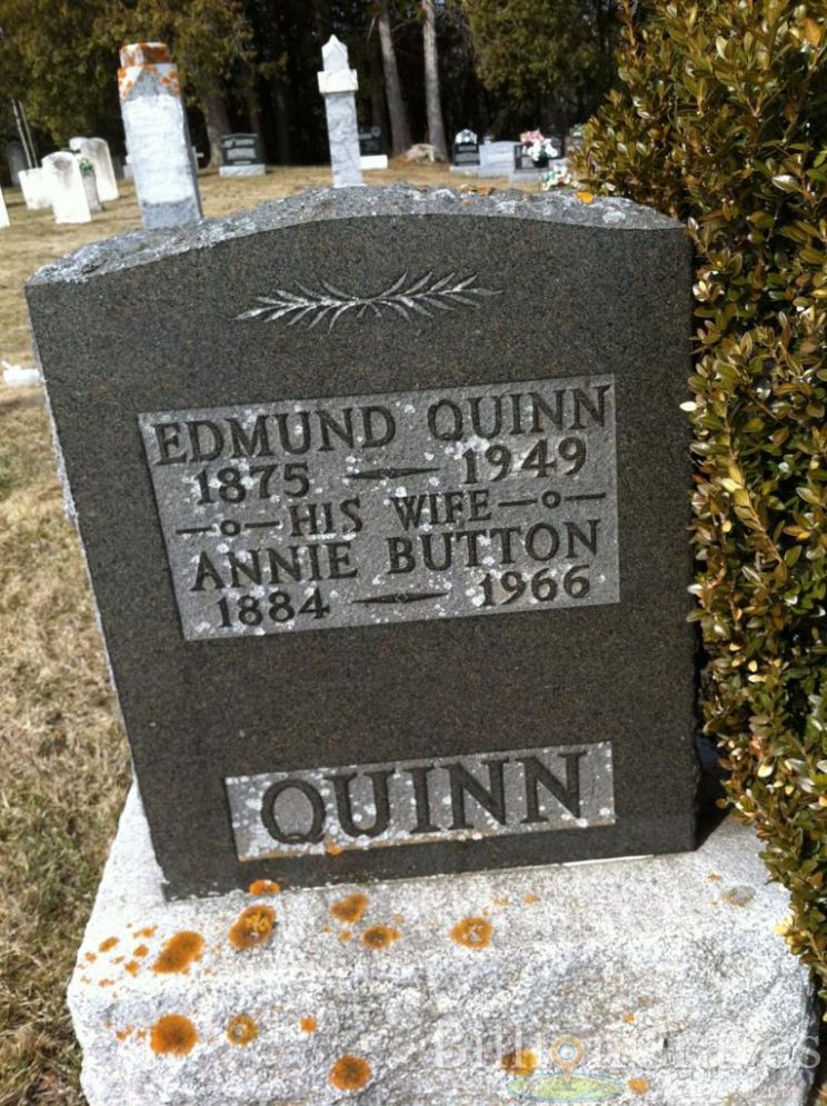 Annie Quinn