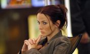 Annie Wersching