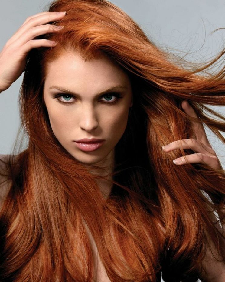 Annika Hays