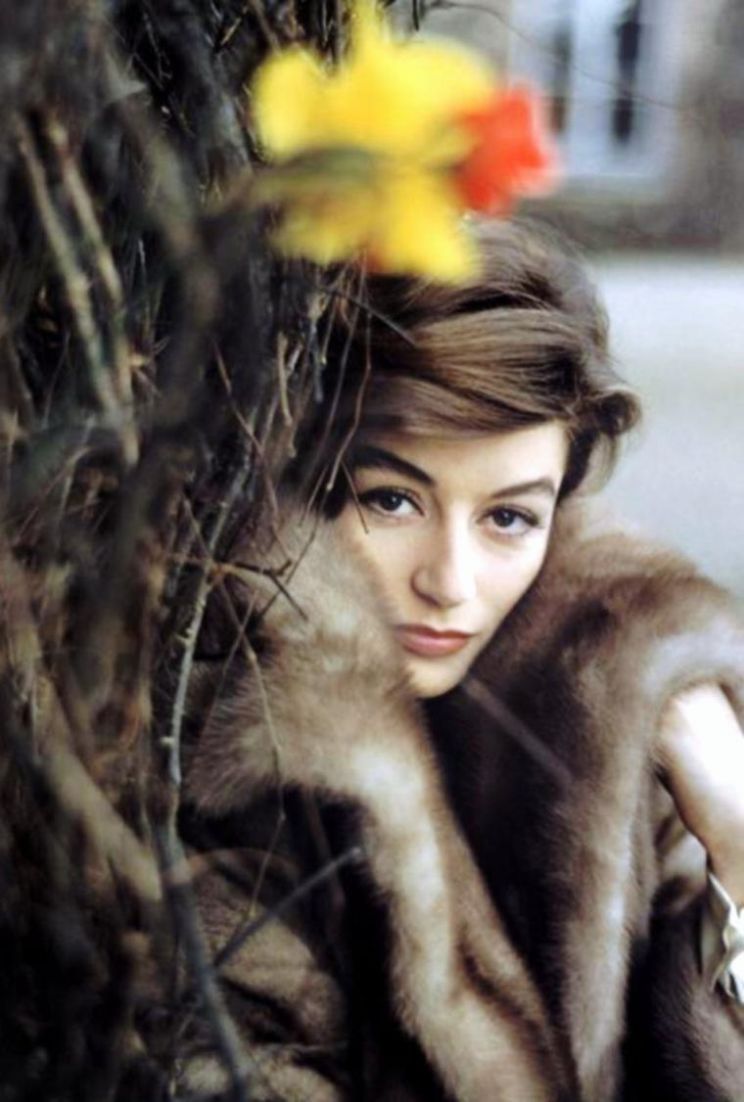 Anouk Aimée