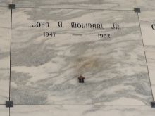 Anthony Molinari