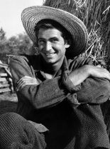 Anthony Perkins #274549 picture (Portrait Medium)