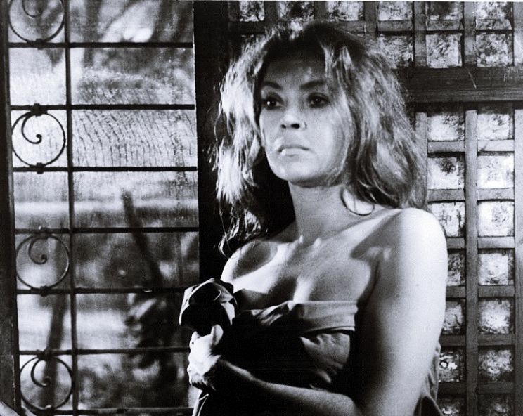Antoinette Bower