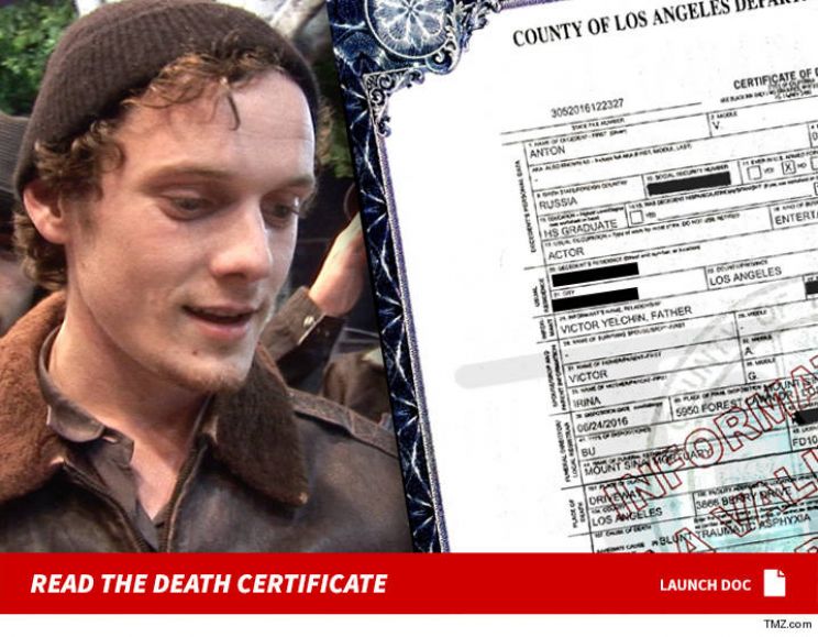 Anton Yelchin