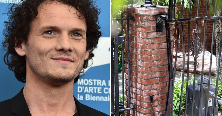 Anton Yelchin