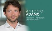 Antonio Adamo