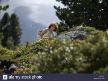 Anuk Steffen photo