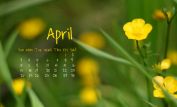 April