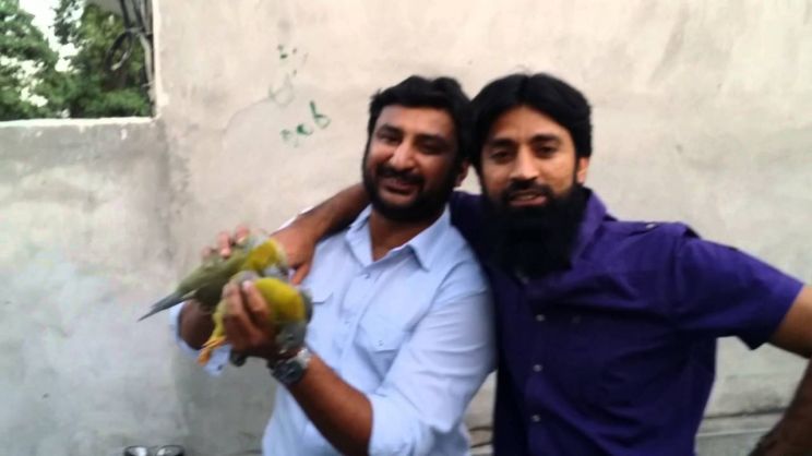 Aqib Khan
