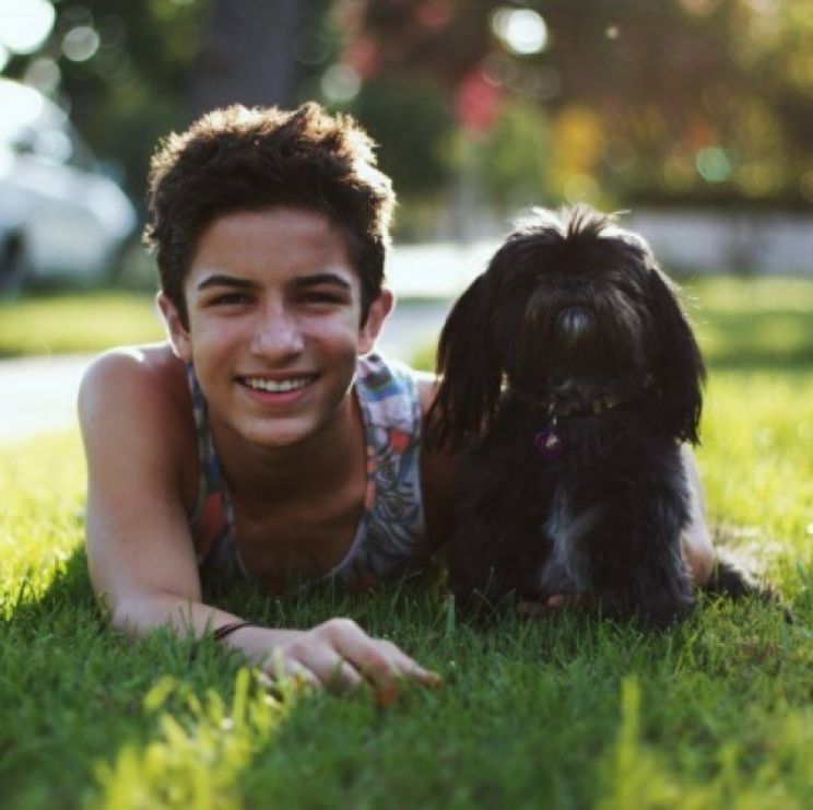 Aramis Knight