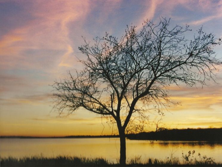 Arcadia Lake