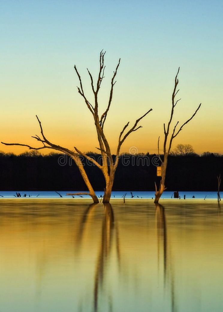 Arcadia Lake