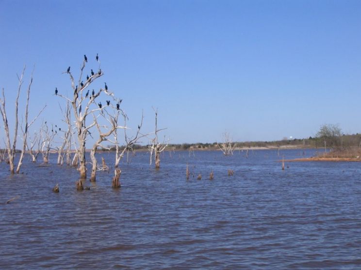 Arcadia Lake