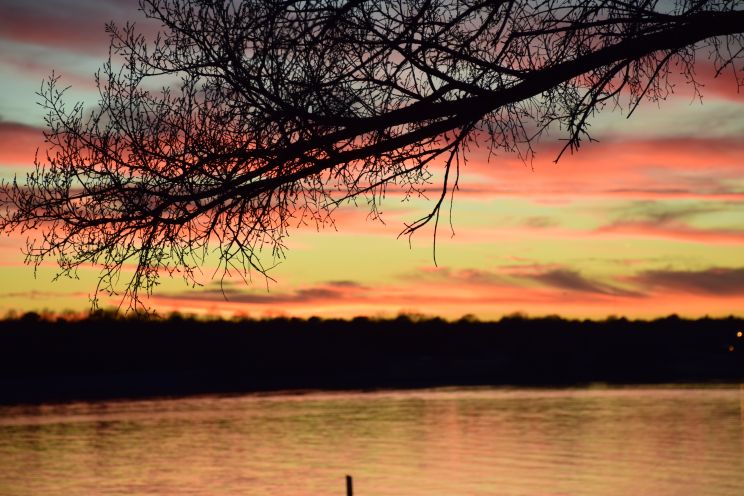 Arcadia Lake