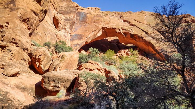Arch Johnson
