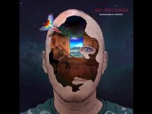 Ari Brickman