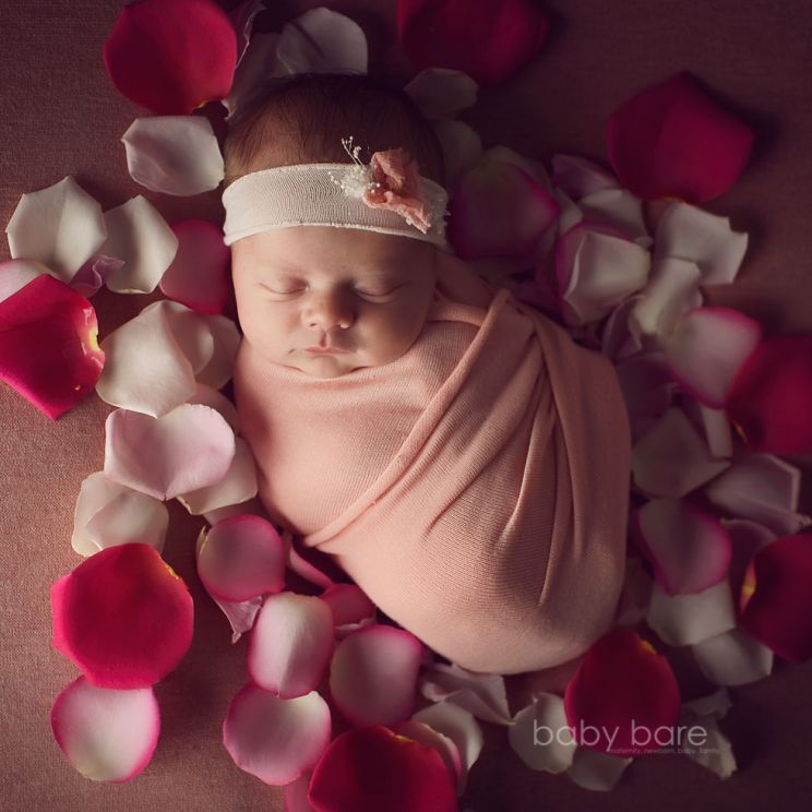 Aria Rose