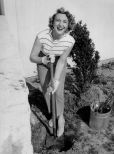 Arlene Francis