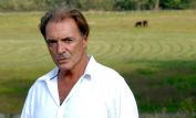 Armand Assante