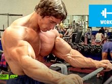 Arnold Schwarzenegger photo