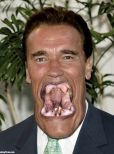 Arnold Schwarzenegger