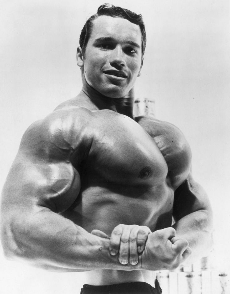 Arnold Schwarzenegger