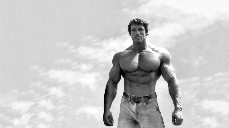 Arnold Schwarzenegger