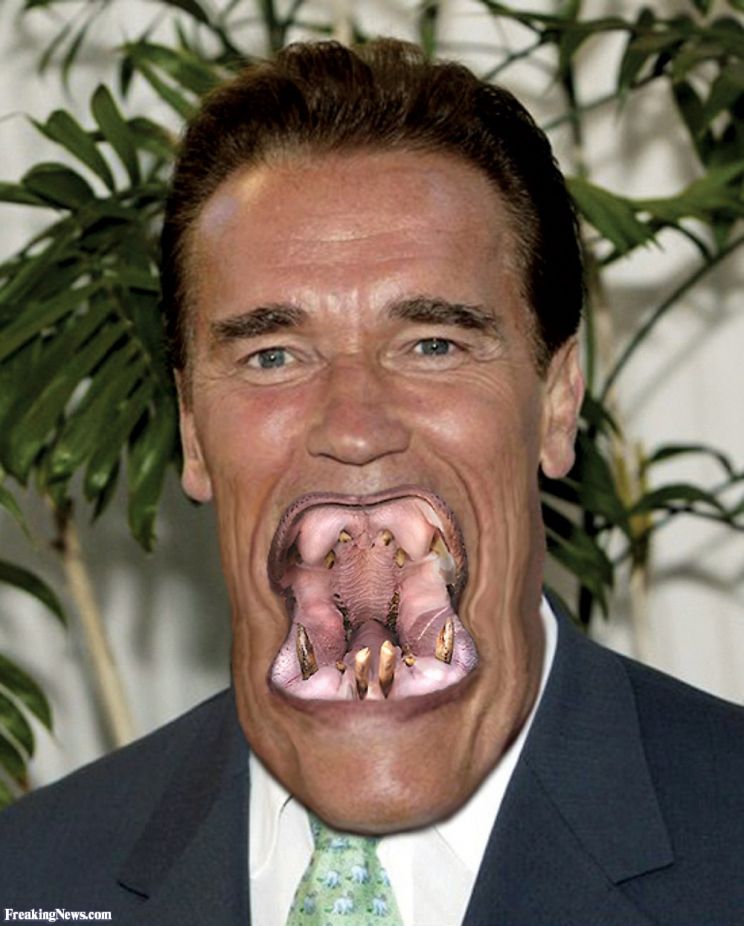 Arnold Schwarzenegger