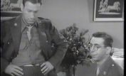 Arnold Stang