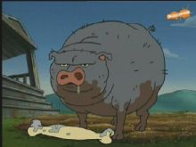 Arnold the Piggy
