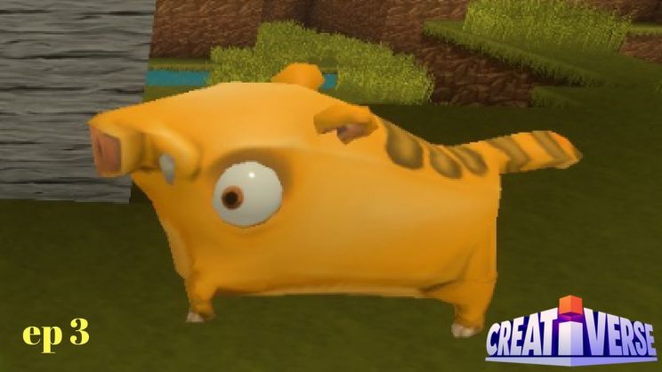 Arnold the Piggy