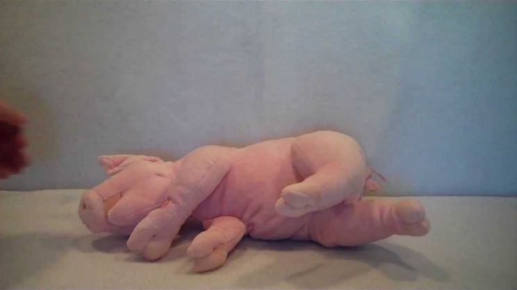 Arnold the Piggy
