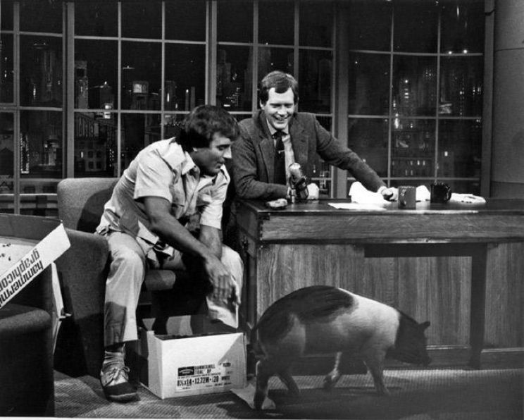 Arnold the Piggy