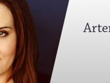 Artemis Pebdani