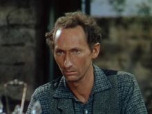 Arthur Hunnicutt